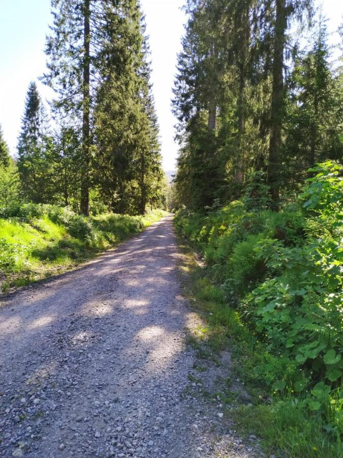 Ferienwohnung Feldberg - Residenz Grafenmatt Екстериор снимка