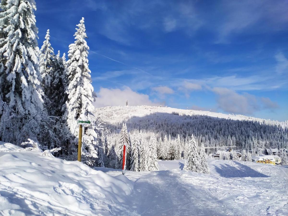 Ferienwohnung Feldberg - Residenz Grafenmatt Екстериор снимка