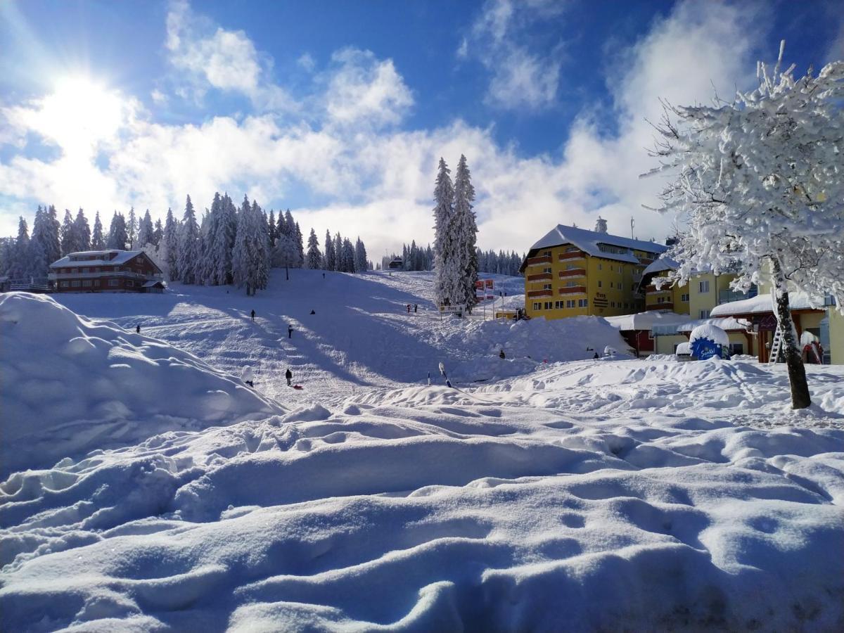 Ferienwohnung Feldberg - Residenz Grafenmatt Екстериор снимка